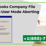 QuickBooks Company File Abort Error