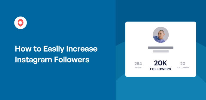 How To Get Easily Increase Instagram Followers