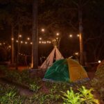 Maharashtra's Best Camping Destinations