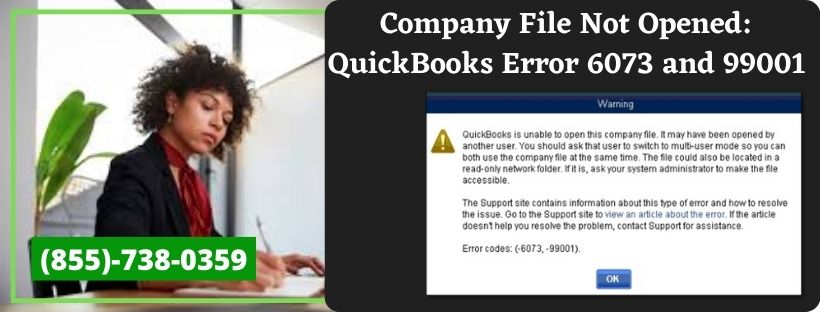 quickbooks error code 6073 and 99001
