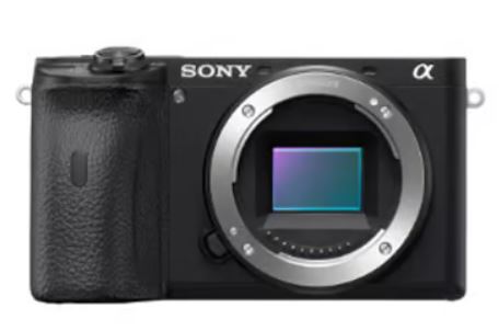 A Beginner's Guide to Mirrorless Camera