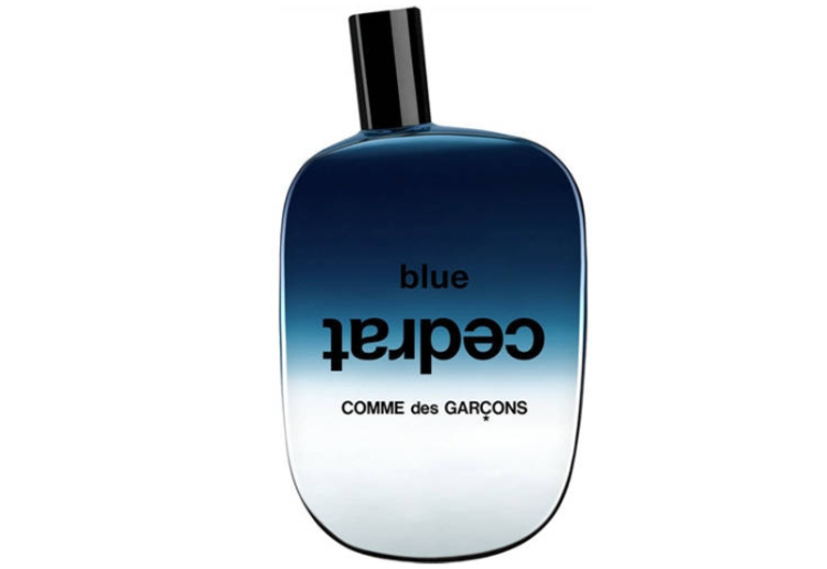 The Mysterious Charm of Comme Des Garcons Perfume