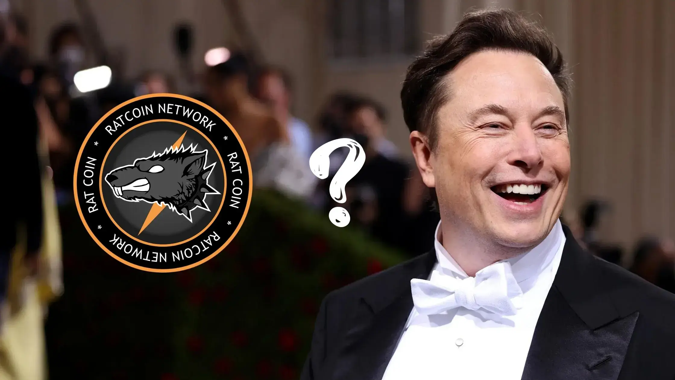 Ratcoin and Elon Musk – What You Need to Know in 2023