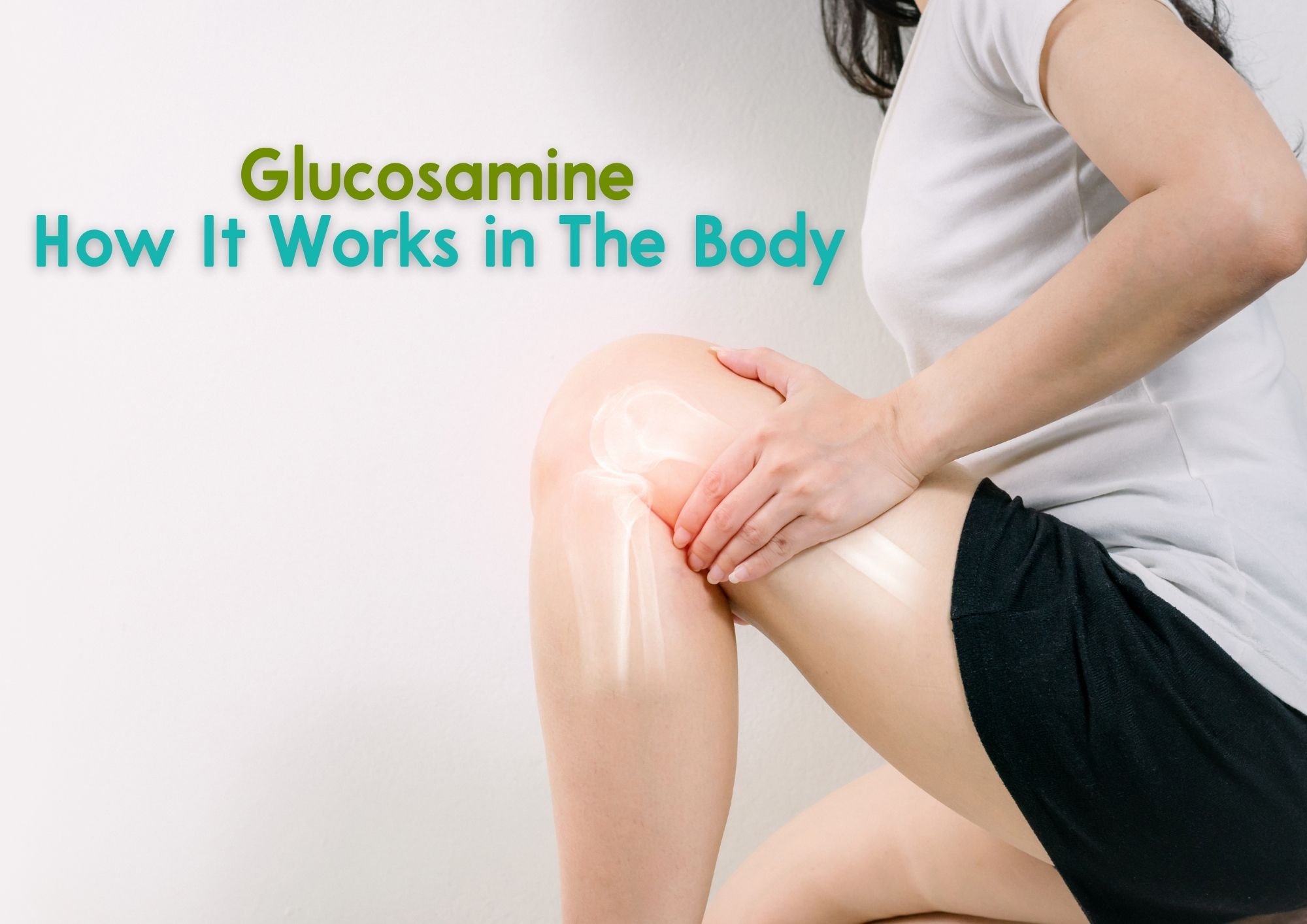 Glucosamine-How It Works in The Body