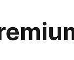 premium seo services
