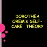 dorothea orem theory assignment help