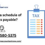 What is a schedule of accounts payable?