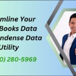 Streamline Your QuickBooks Data with Condense Data Utility