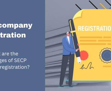 What are the advantages of SECP company registration?