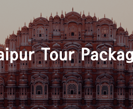 jaipur city tour