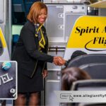 Spirit Airlines Flight