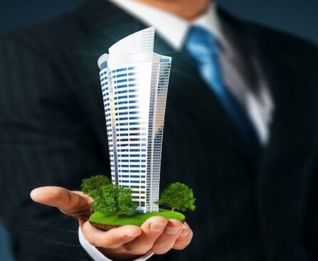 real estate and property development